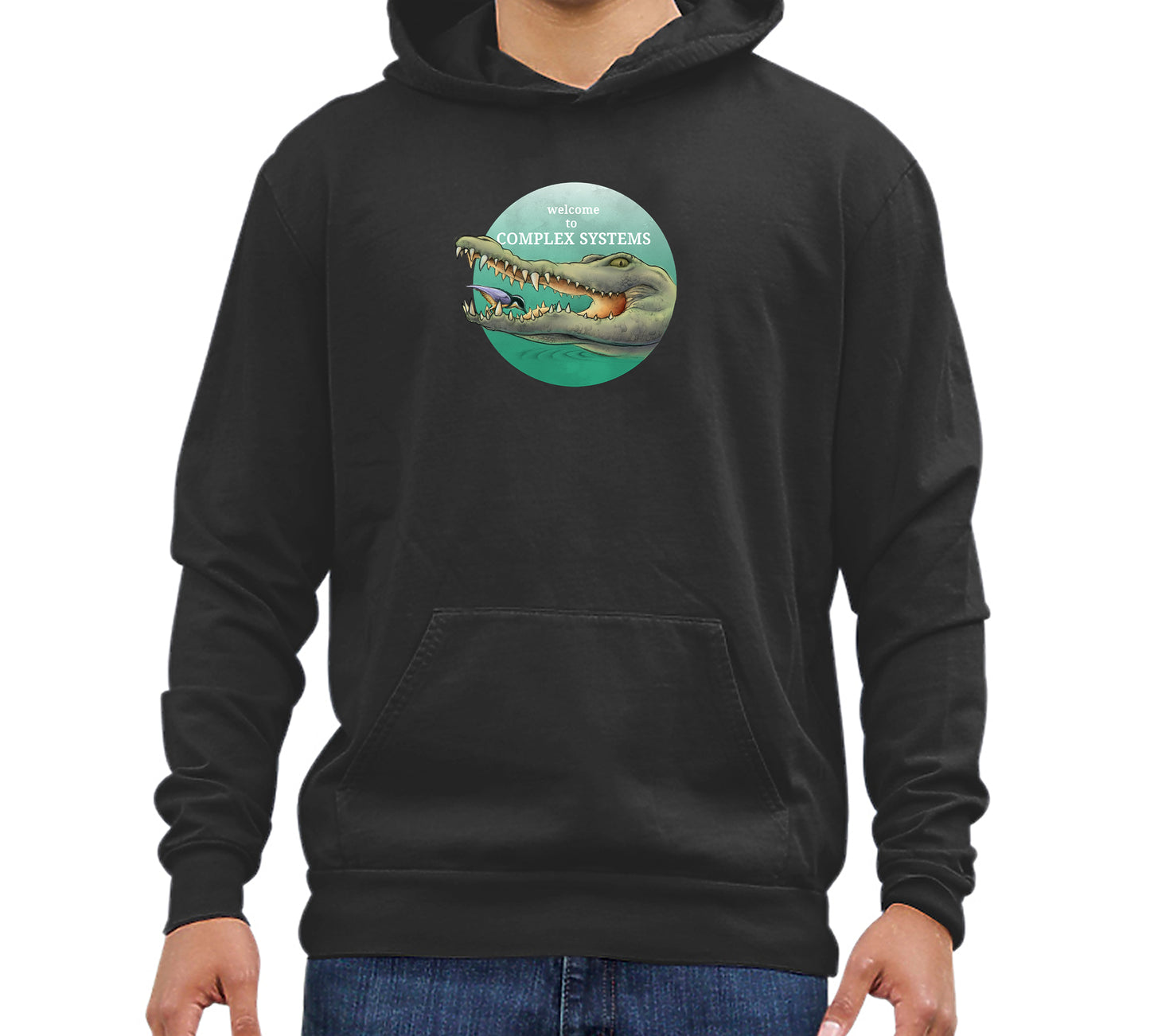 Complex Systems Hoodie - Unisex